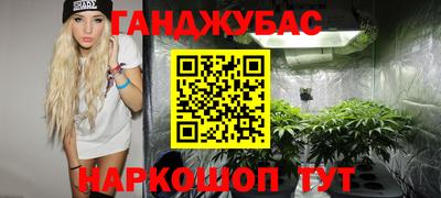 индика Аргун