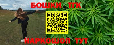 индика Аргун