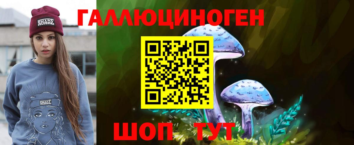 Галлюциногенные грибы мицелий  Галлюциногенные грибы прущие грибы  Вход с VPN  Берёзовский 